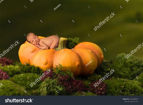 2,273 Newborn Baby Pumpkins Images, Stock Photos & Vectors | Shutterstock