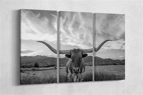 Texas Longhorn Wall Art at Eva Brown blog