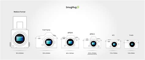 Camera Sensor Explained 的图像结果