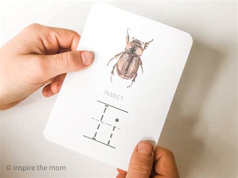 100+ Objects That Start With I - Alphabet Items A-Z