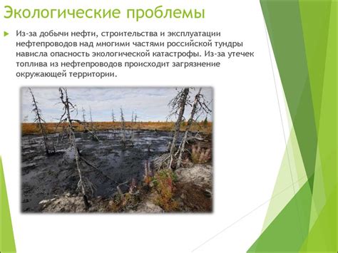 Тундра и лесотундра России - online presentation