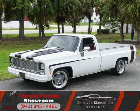 1979 Chevrolet Pickup