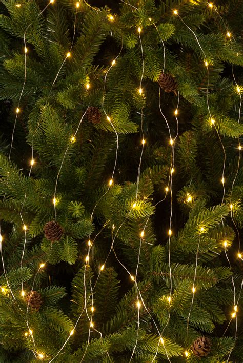 120 Twinkling Cascade Lights in Amber | Pines and Needles