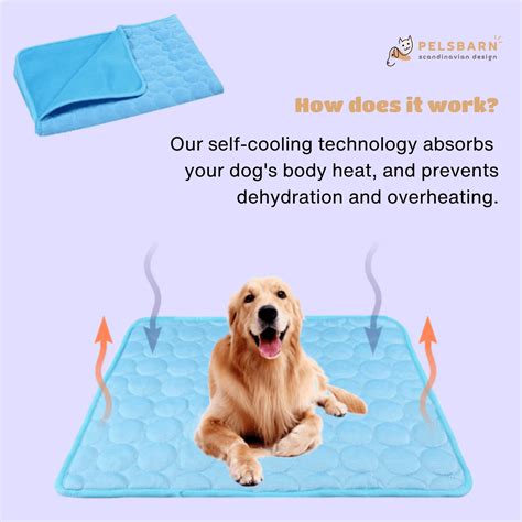 Do cooling mats for dogs work online