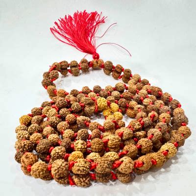 Rudraksha Mala | Himalaya Rudraksha Anusandhan Kendra
