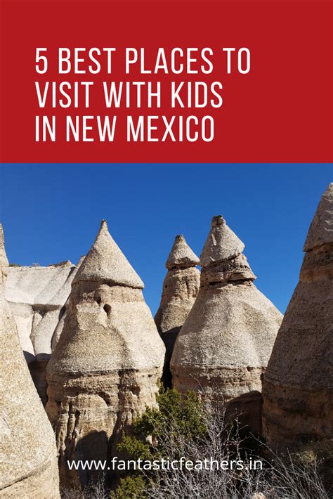 Fantastic Feathers: Top 5 places to see in New Mexico with kids