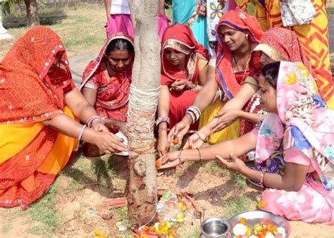 Phalguna Begins 2024, India - Venue, Date & Photos