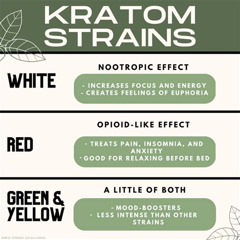 All You Need to Know About Super White Kratom - RemedyGrove