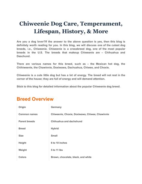 PPT - Chiweenie Dog Care, Temperament, Lifespan, History, & More ...