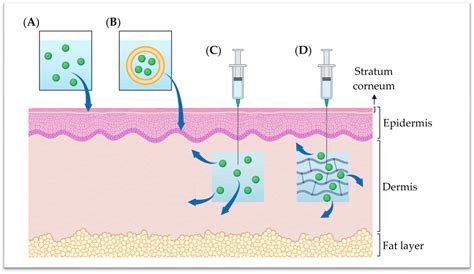 Mechanistic Insights into the Multiple Functions of Niacinamide ...