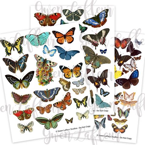 Butterfly Cut Out Art