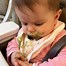 Image result for Organic Baby Food Brands