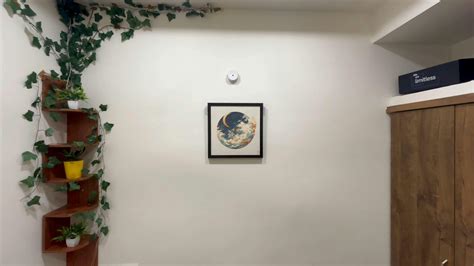 Shop Exquisite Handcrafted Dhokra Décor from Sowpeace