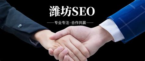 潍坊SEO - 潍坊网站优化、百度推广、网络营销 - 传播蛙