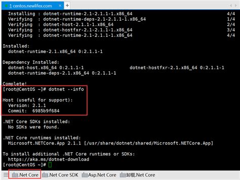 Image result for Netcore Linux GUI