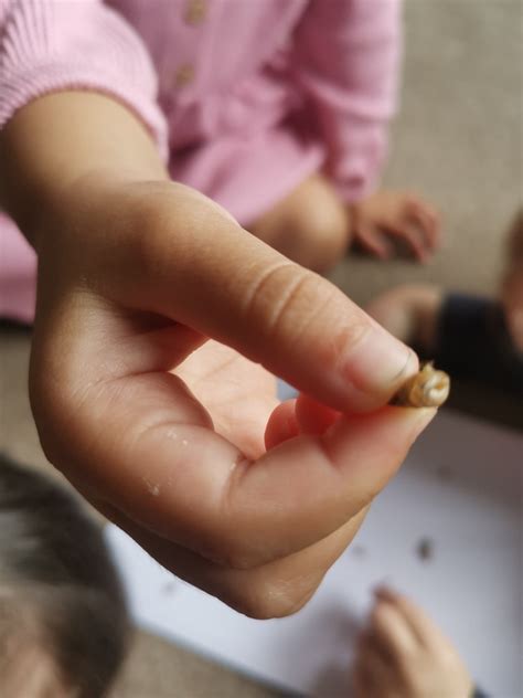 Image result for Snails Learning