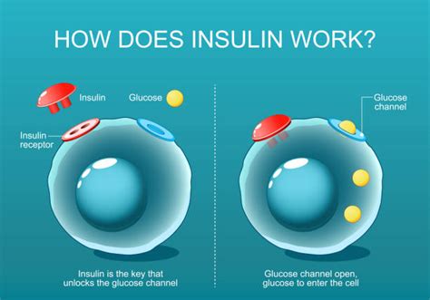 Image result for Insulin Management Algorithm