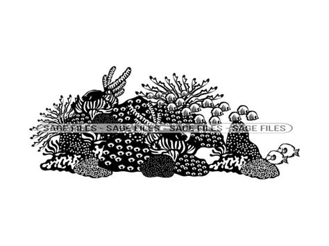 Coral Reef 2 SVG Coral Svg Ocean Svg Tropical Svg Coral - Etsy India