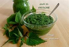 come cucinare le ortiche pesto di ortiche ricetta di pesto ortaggi passione come cucinare le ortiche pesto di ortiche ricetta di pesto ortaggi passione
