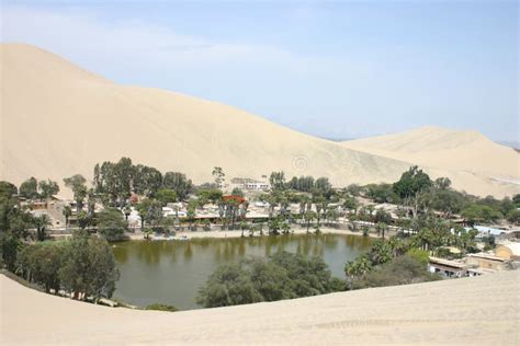 Oasis in the Desert stock image. Image of town, dunes - 9178025