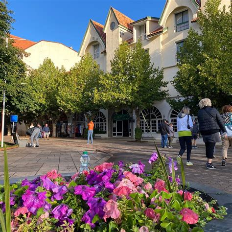 IFRANE NATIONAL PARK (2026) All You Need to Know BEFORE You Go (with ...