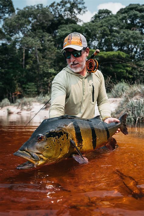 New IGFA World Record Peacock Bass Landed on the Rio Marié | Marié Rio ...