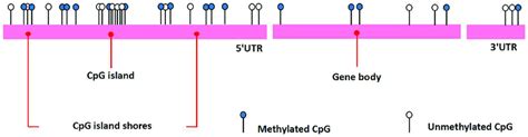 Image result for Linear Programing Simplex Method