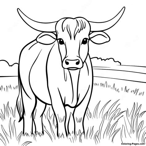 Longhorn Cattle Coloring Page