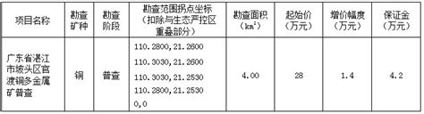 广州公共资源交易中心探矿权网上挂牌出让公告 广东省自然资源厅