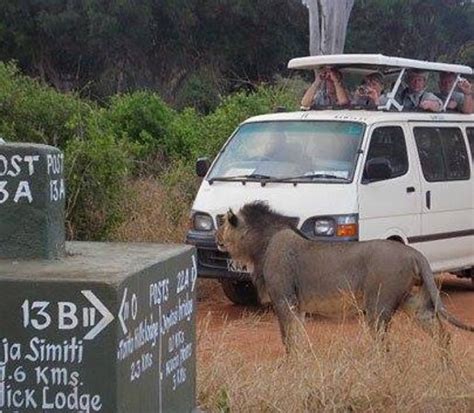 10 BEST Places to Visit in Tsavo National Park West - UPDATED 2022 ...