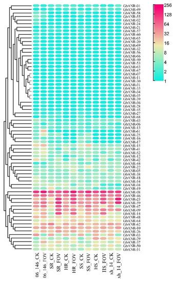 Gb_ANR-47 Enhances the Resistance of Gossypium barbadense to Fusarium ...
