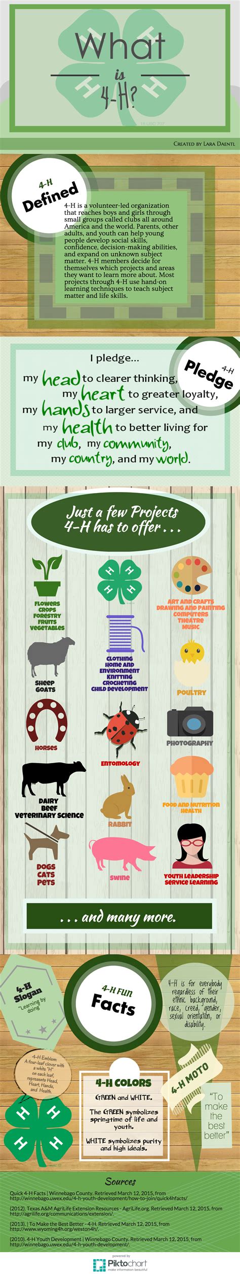 What is 4-H? Answers some great questions you may have! | 4 h club, 4 h ...