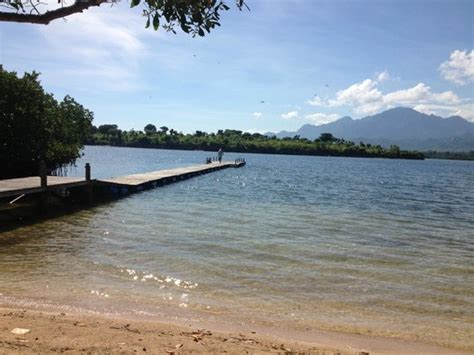 The Best Beach Resorts in West Bali National Park (with Prices ...