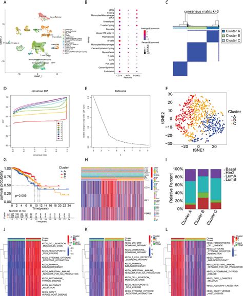 Cancer Antigen Results Explained at Randall Maupin blog