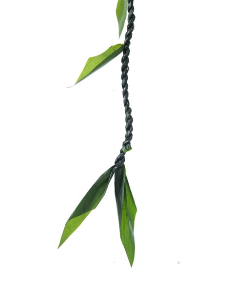 Ti Leaf Lei – Commencement Lei