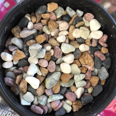 Image result for Bank Run Shell