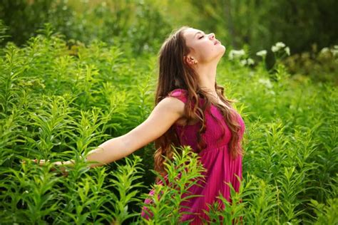 Nature and Human 的图像结果