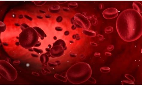 Knowledge rh null blood group is golden blood group rarest blood group ...