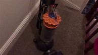 Image result for Dyson Animal Disassemble