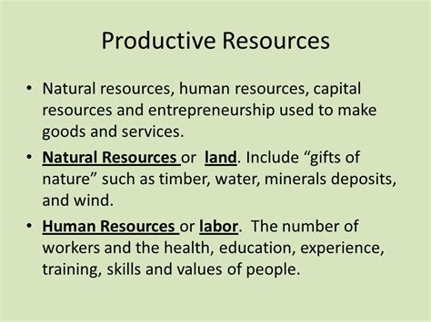 Example Capital Resources 的图像结果