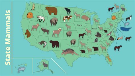 Unique Animals In Usa at Keith Ramsay blog