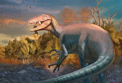 Scoperto un nuovo megaraptor con il suo ultimo pasto ancora tra le fauci | National Geographic