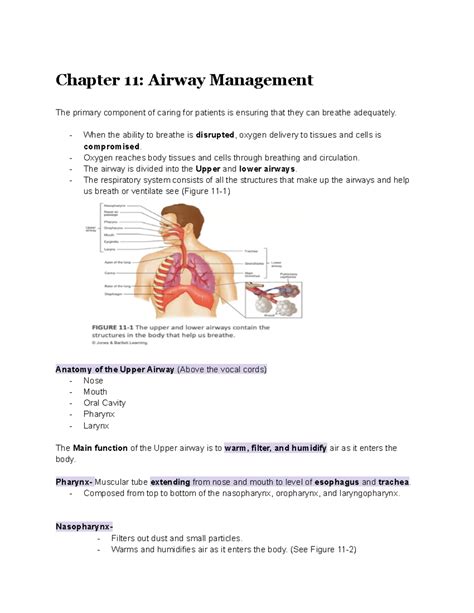 Chapter 11: Comprehensive Airway Management Notes for EMTs - Studocu