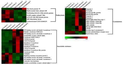 Transcriptome Analyses of Diaphorina citri Midgut Responses to ...