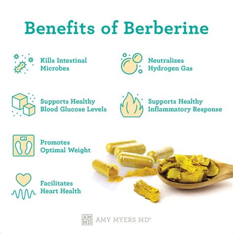 Can You Take Berberine And Probiotics Together