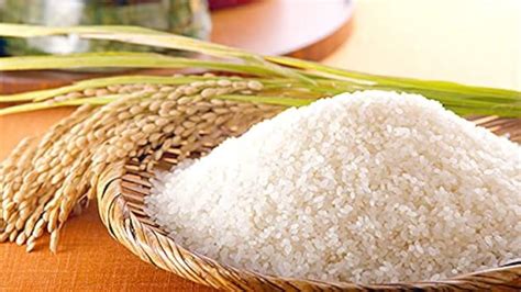 GOBINDO BHOG Rice 10KG : Amazon.in: Grocery & Gourmet Foods