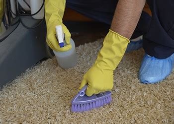 Professional Cleaning Services | Paul’s Cleaning Melbourne