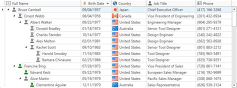 Image result for DevExpress Tree List