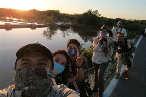 ICHI WILDLIFE TOURS (2025) All You Need to Know BEFORE You Go (with ...