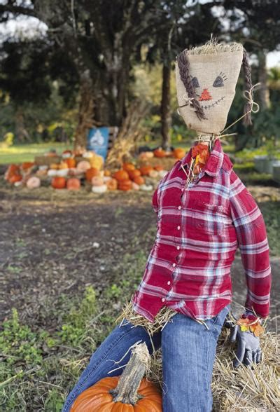 Local Source SWFL 的图像结果